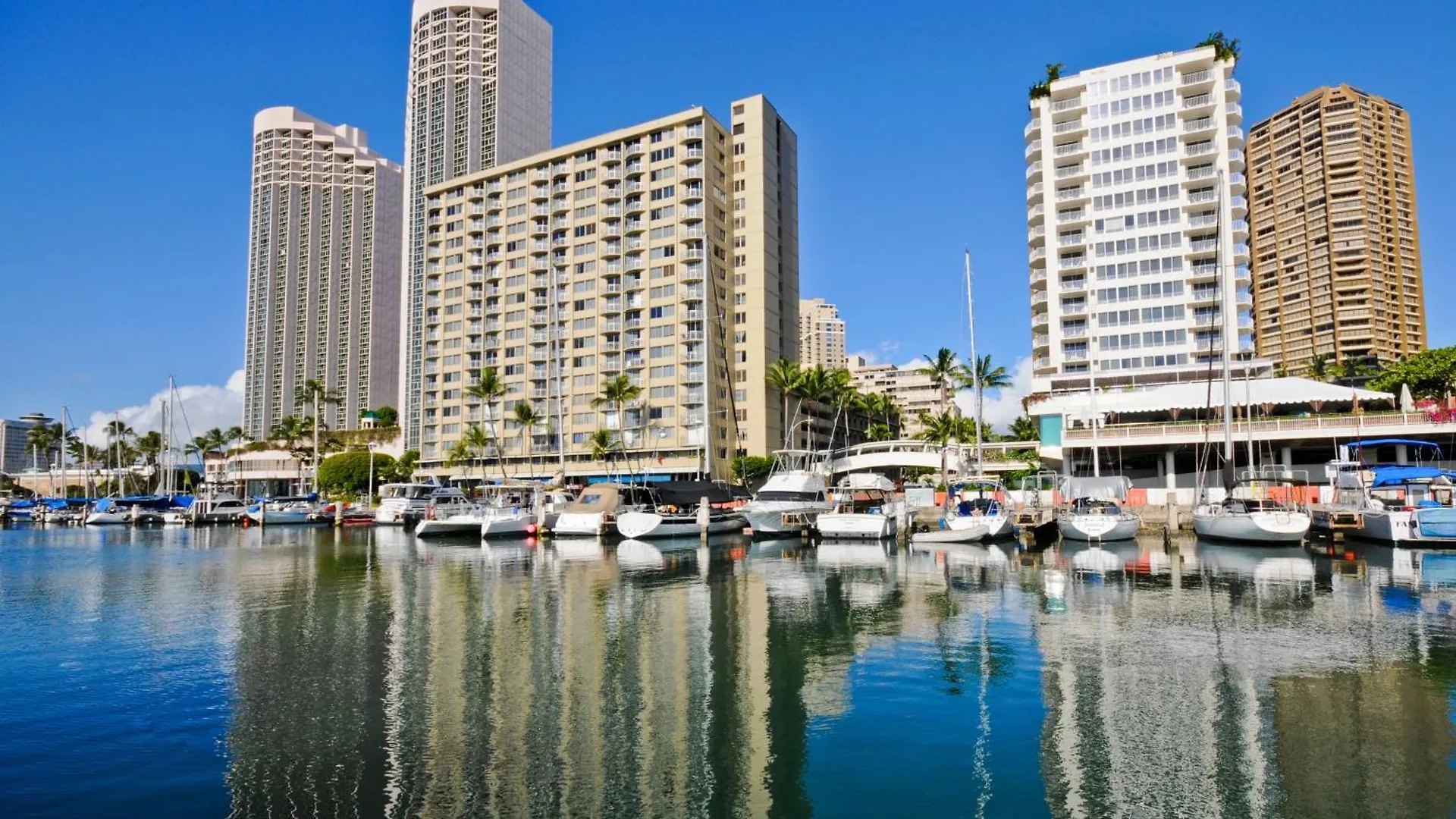 Ilikai Marina 1381 City View Studio هونولولو 0*,  الولايات المتحدة الأمريكية